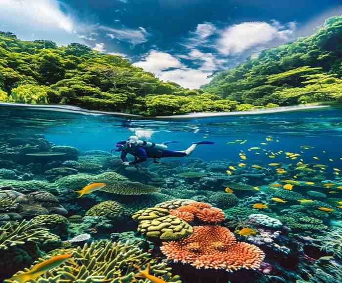 Top 5 Hidden gems places to visit You Must Know one of the most famous places to visit in Gizo, Solomon Islands."