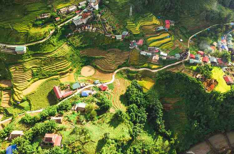 7 Reasons Why Vietnam Is the Best Country in the World Terraced rice fields in Sapa, Sa Pa, Lao Cai, Vietnam surrounded by misty mountains and local hill tribes, showing why Vietnam is the best country in the world for travel and nature lovers.